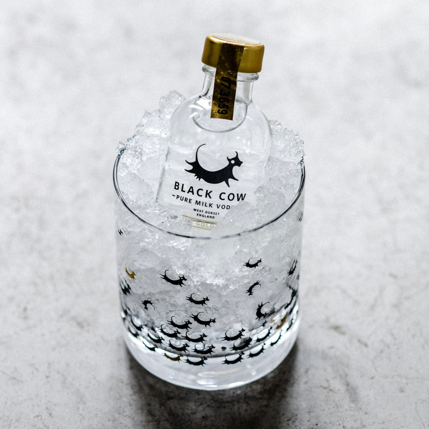 Black Cow Rocks Glasses (Two)