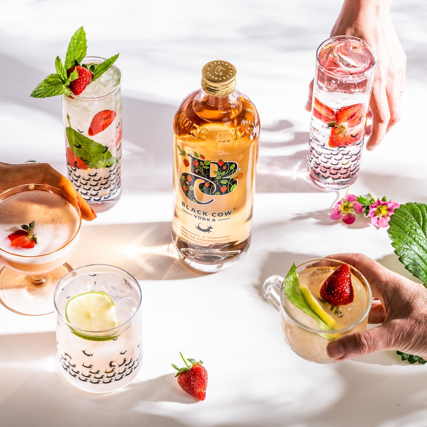 Black Cow & English Strawberries Milk Carton Gift Pack