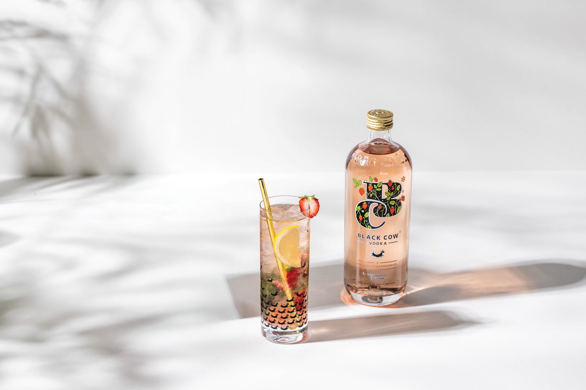 Bottle of Black Core Gin with a cocktail garnished with fruit on a white surface