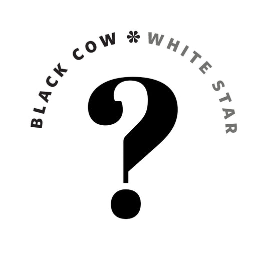 Black Cow White Star